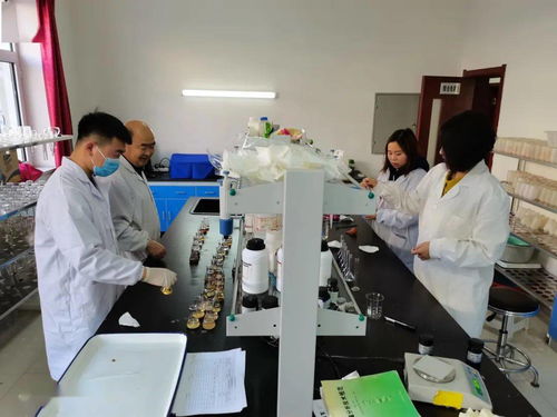 包頭市農業技術推廣中心全力推進化肥減量增效項目土樣檢測工作