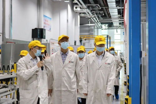 打響“三個(gè)高地”品牌，以計(jì)算機(jī)系統(tǒng)服務(wù)賦能最美茶陵縣域發(fā)展